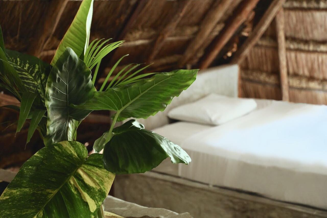 Tuup Jungle Aparthotel Tulum Pueblo Buitenkant foto